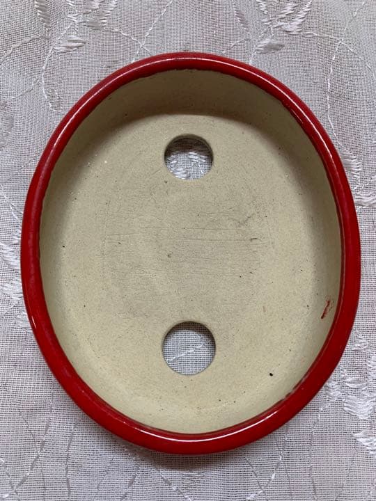 燿山　楕円　赤　盆栽鉢