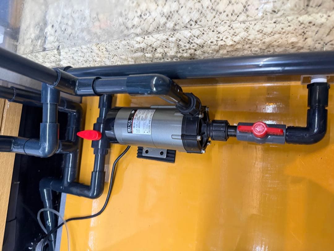 大型オーバーフロー水槽一式／引き取り限定