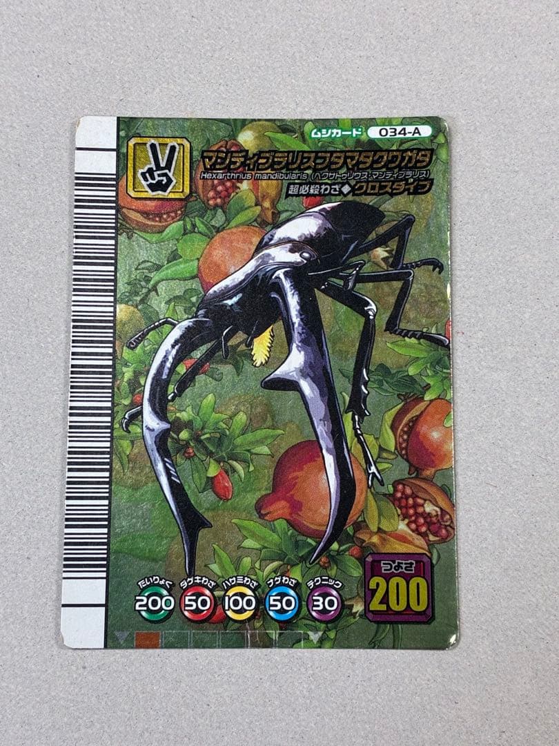 ムシキング！マンディブラリスフタマタクワガタ　5周年