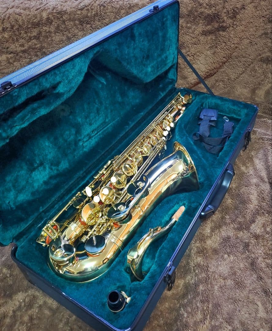 テナーサックス Kaerntner KTS-65 使用期間 半年程