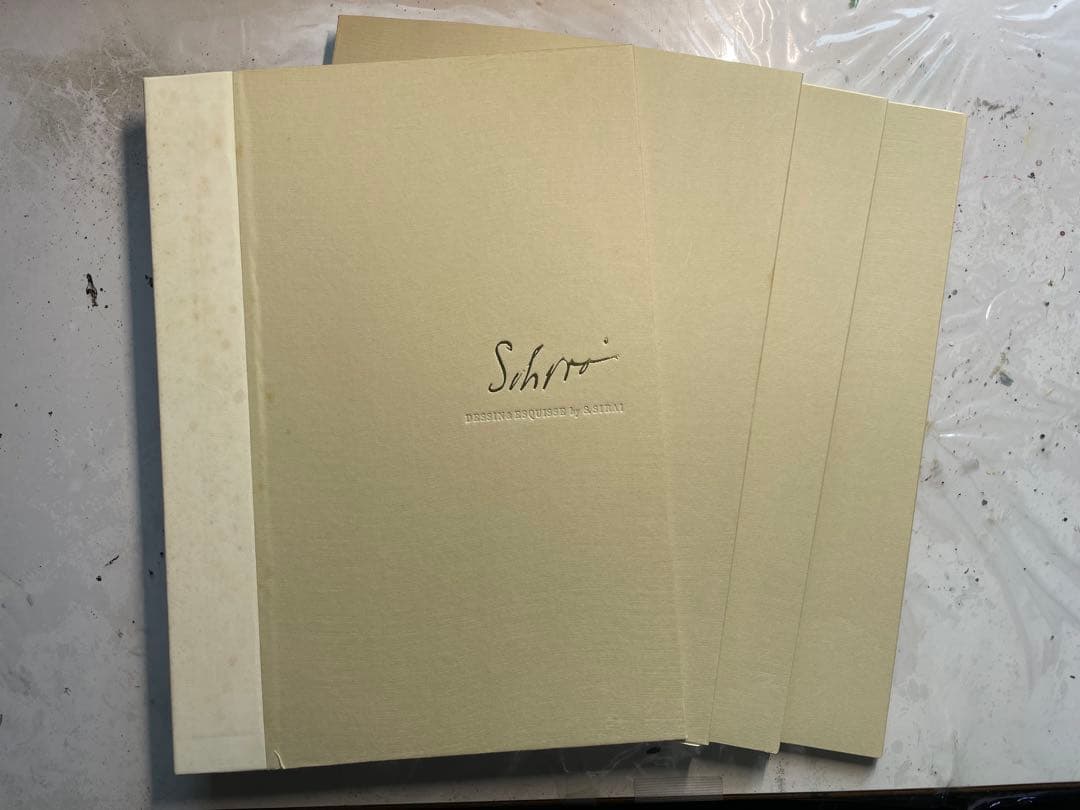 白井晟一　DESSIN&ESQUISSE by S.SHIRAI