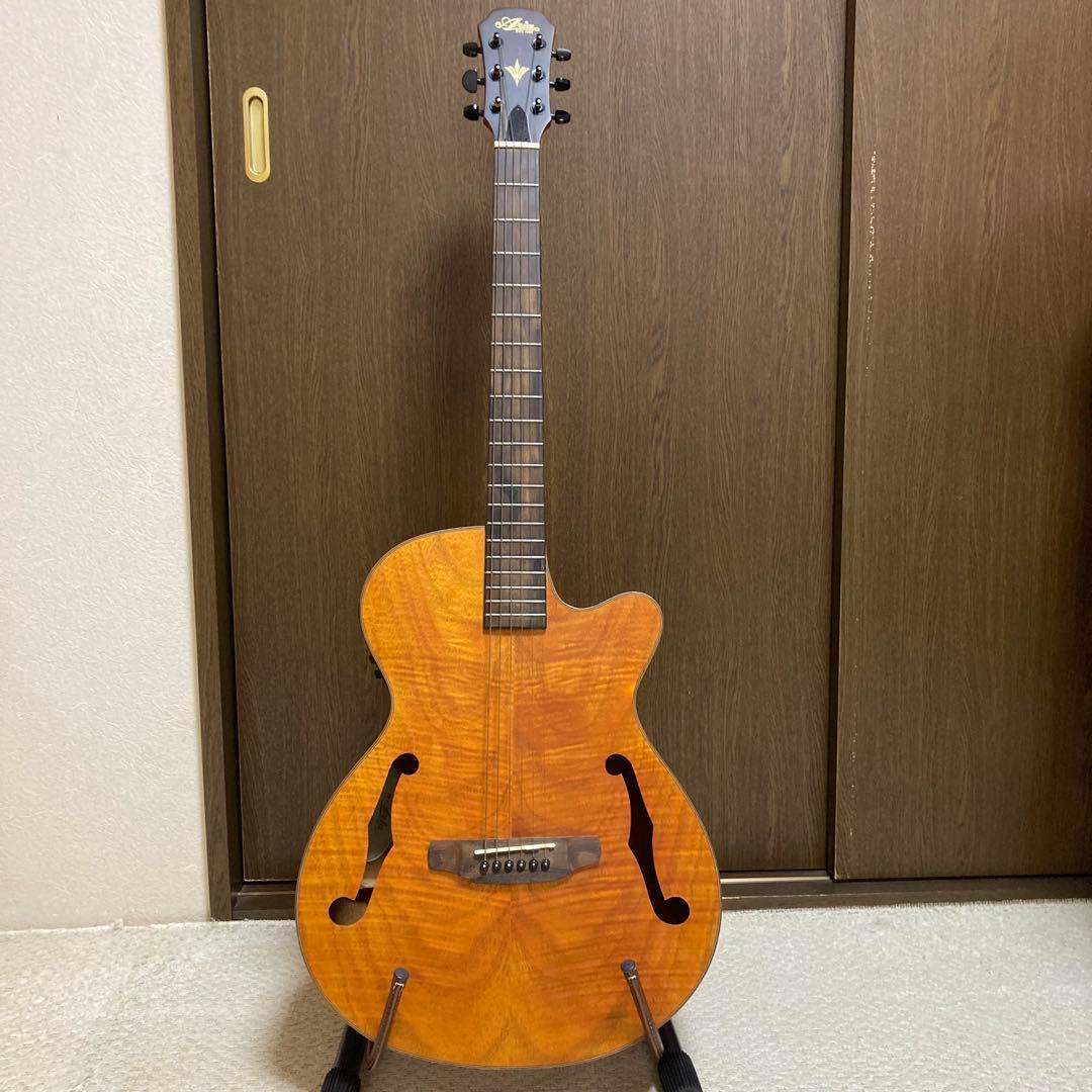 Aria FET-F2 STBR エレアコ