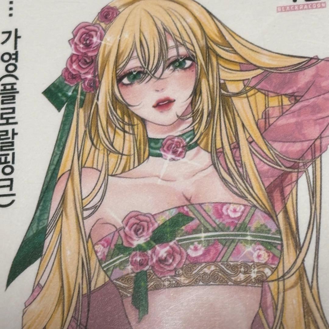 バラ売り可★【BU52海外ステッカー】黒いたぬき様　女の子　人物ステッカー