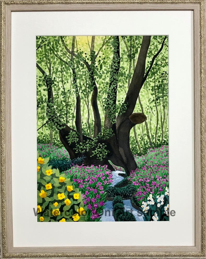 透明水彩画　原画　「千年の大樹とカタクリの花」額縁付　F4サイズ