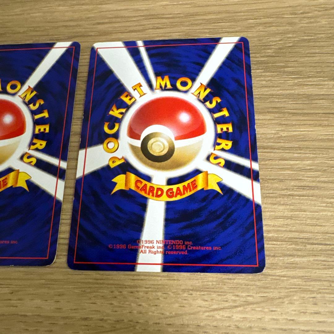 ゼニガメ、カメール イントロパック【5436