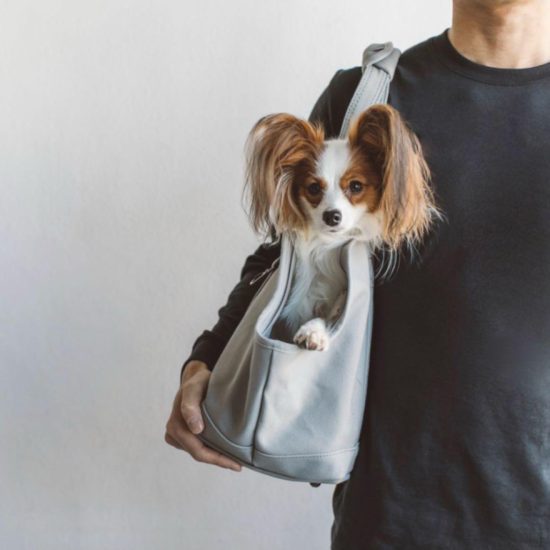 小型犬用 ネイビーキャリーバッグ