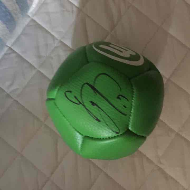 【スーパーレア】ウォルフスブルク サッカー 長谷部 酒井 サイン サインボール