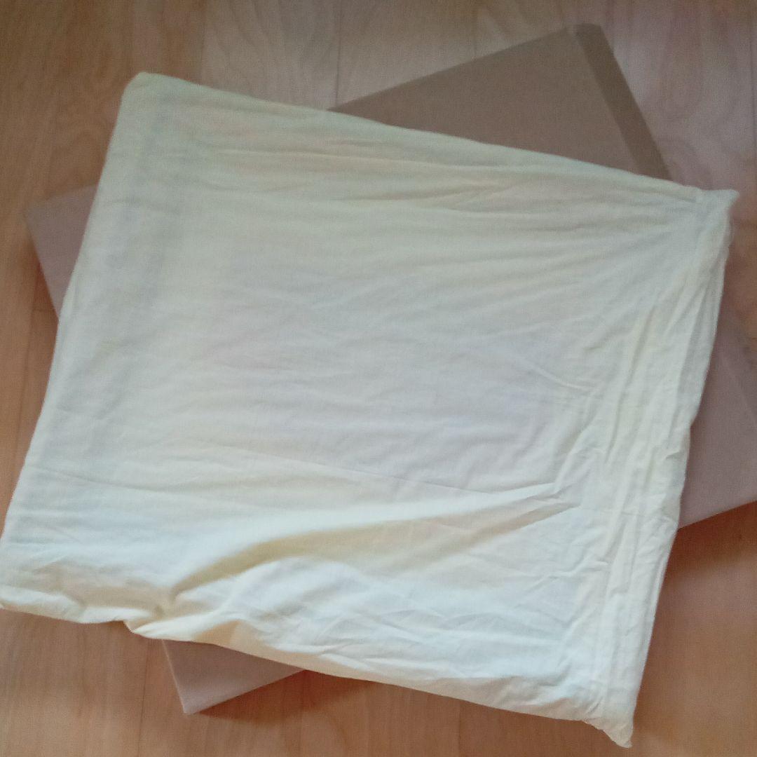 【真作 ・最晩年　 代表作 ： 桜島噴煙】伊谷賢蔵　　(伊谷レッド)