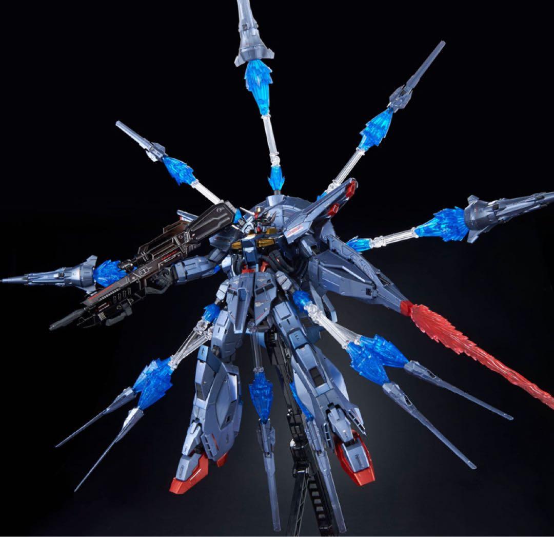 【新品・未開封】MG 1/100 プロヴィデンスガンダム スペシャルコーティング