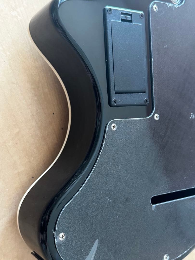 FERNANDES ZO-3芸達者（BLK）