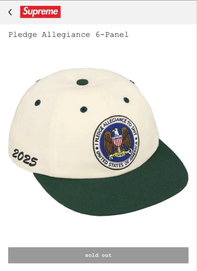 帽子 Supreme Pledge Allegiance 6-Panel White