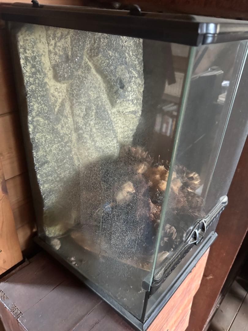 グラステラリウム　中型 飼育ケージ 前面観音扉