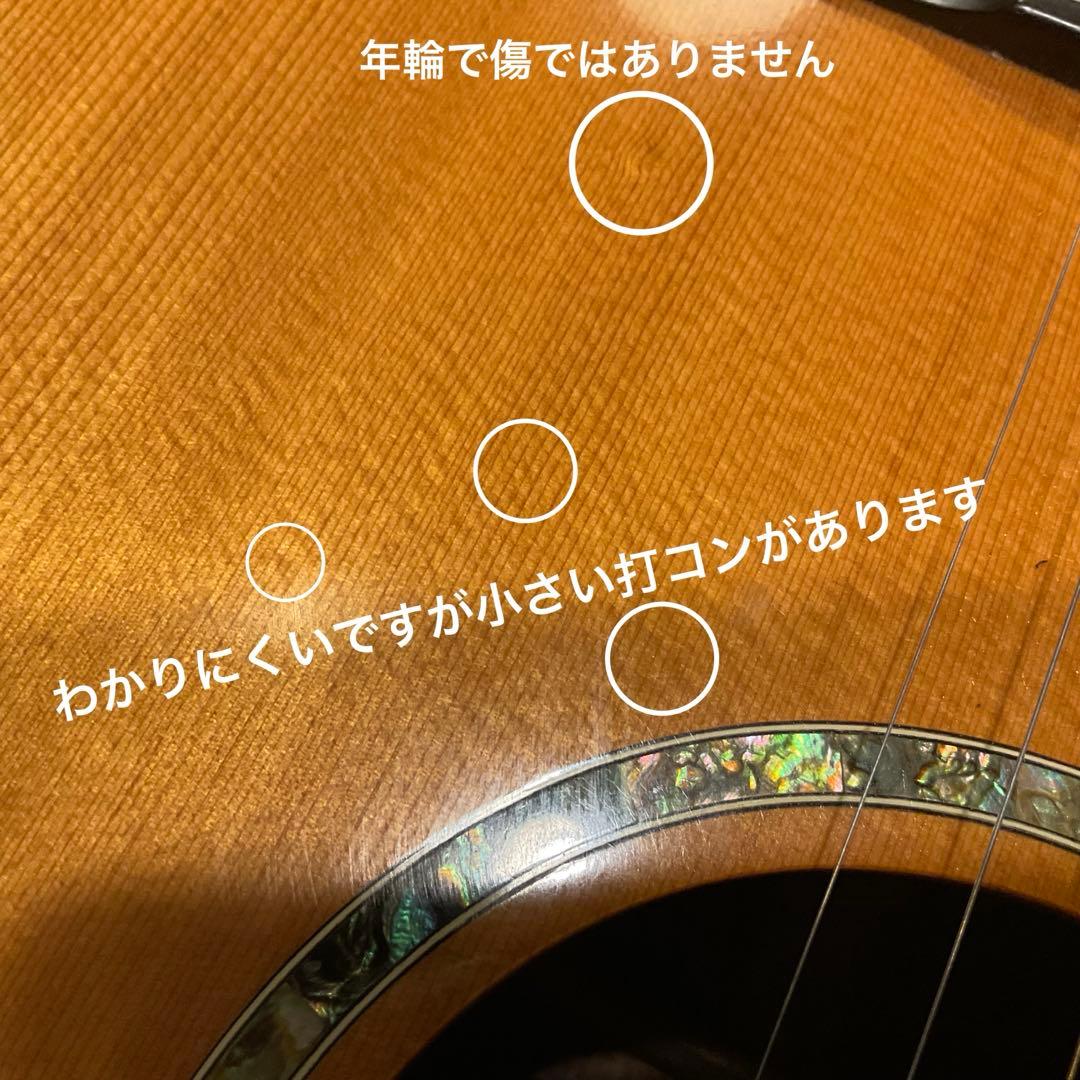 モーリス Morris M-60T アコースティックギター ハードケース アコギ