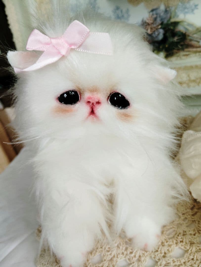 可愛いキャンディちゃん❤エキゾチック子猫ちゃん♡アートドール♡ぬいぐるみ♡