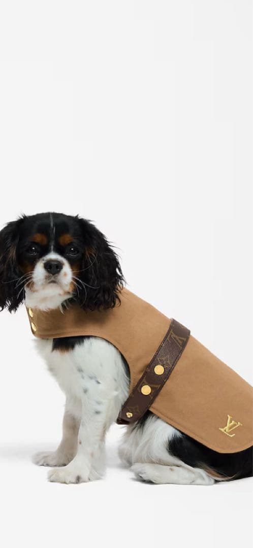 ルイヴィトン♡ドッグコートPM 試着のみ美品 正規品