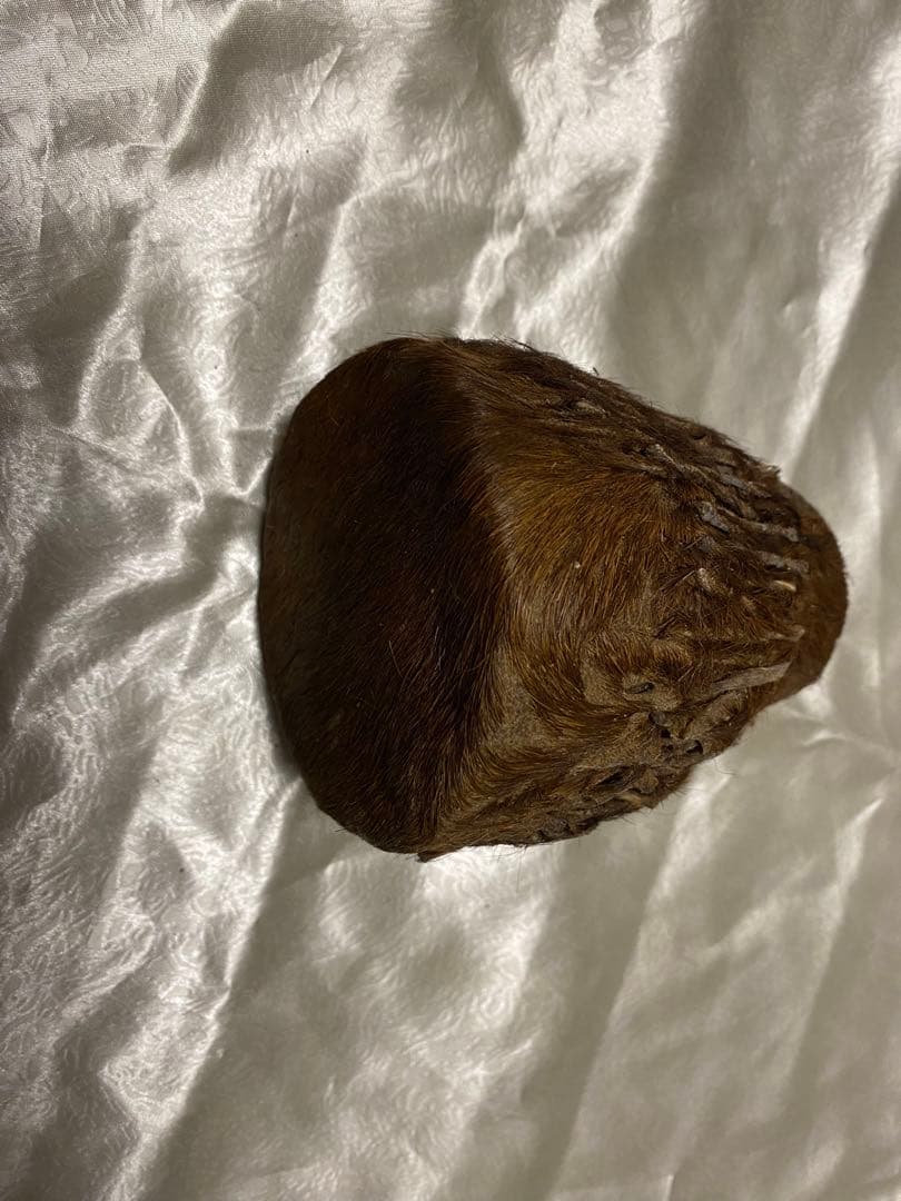 バッファロー革太鼓　ケニア　現地購入