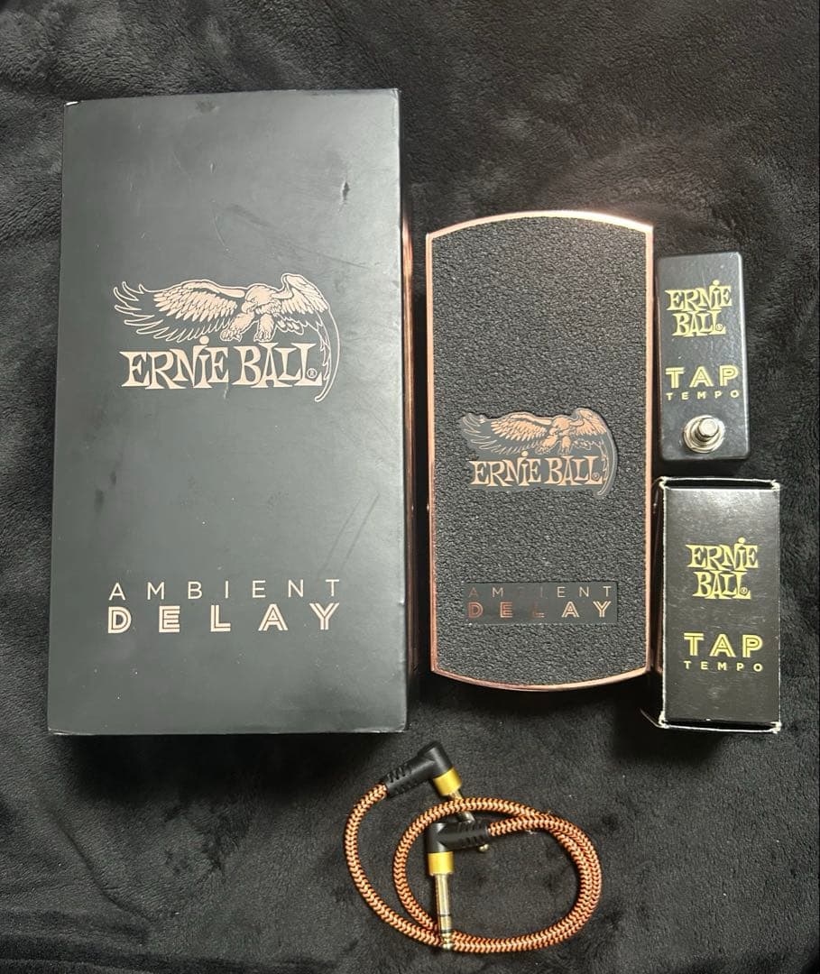 再値下！ERNIE BALL AMBIENT DELAY / TAP TEMPO