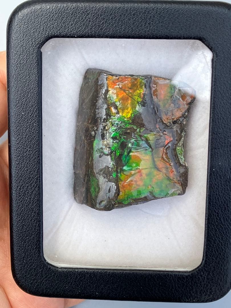 化石　原石　アンモライト　アンモナイト　カナダ産　幅4.1cm 置物　箱付き