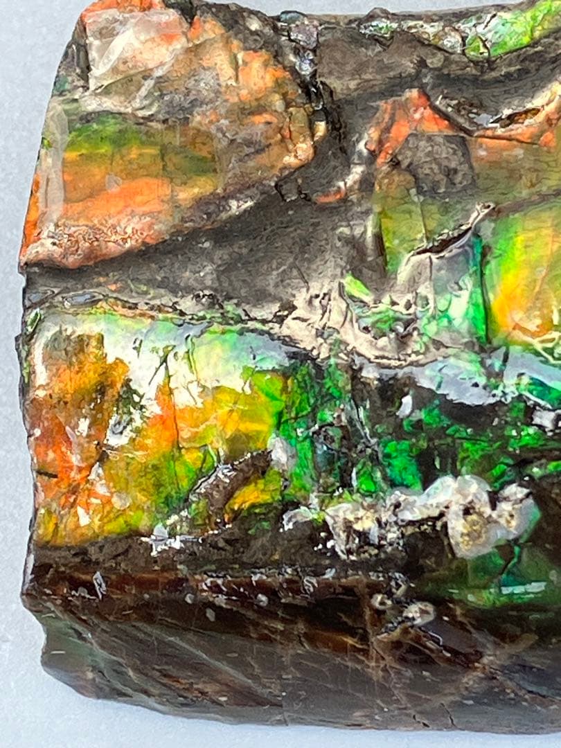 化石　原石　アンモライト　アンモナイト　カナダ産　幅4.1cm 置物　箱付き