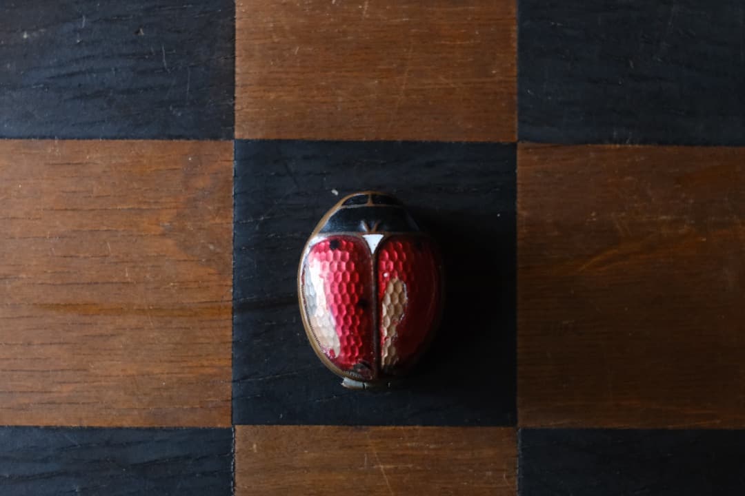 イギリスアンティーク｜てんとう虫のピルケース