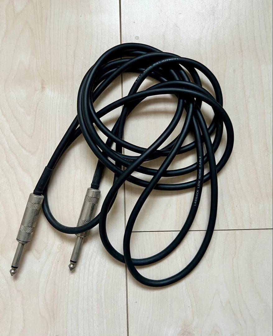 【yammy】FGN J.standard レスポール　フジゲン