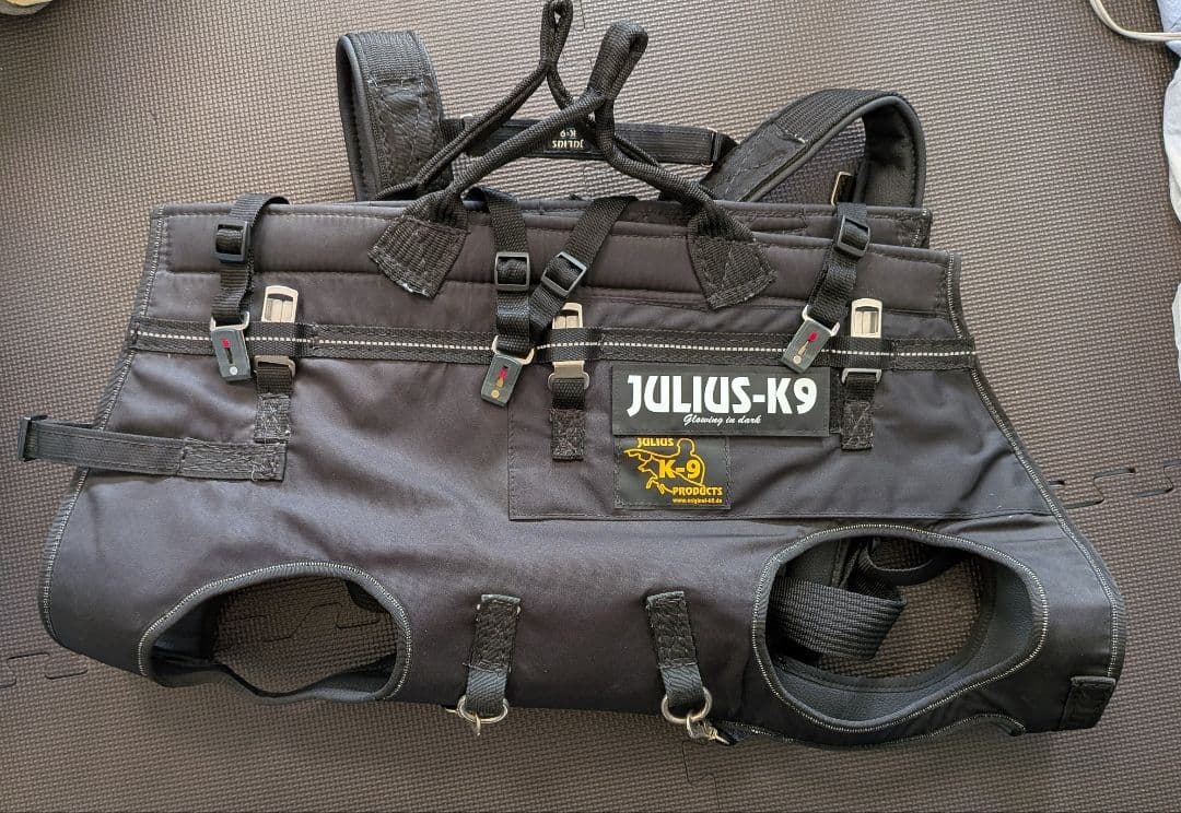 JULIUS-K9 降下用ハーネス　災害時に大型犬を背中に担いで運べますサイズL