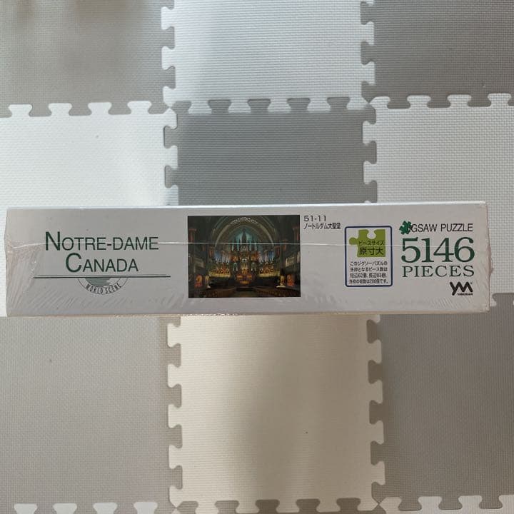 ジグソーパズル5146P＊ノートルダム大聖堂カナダ