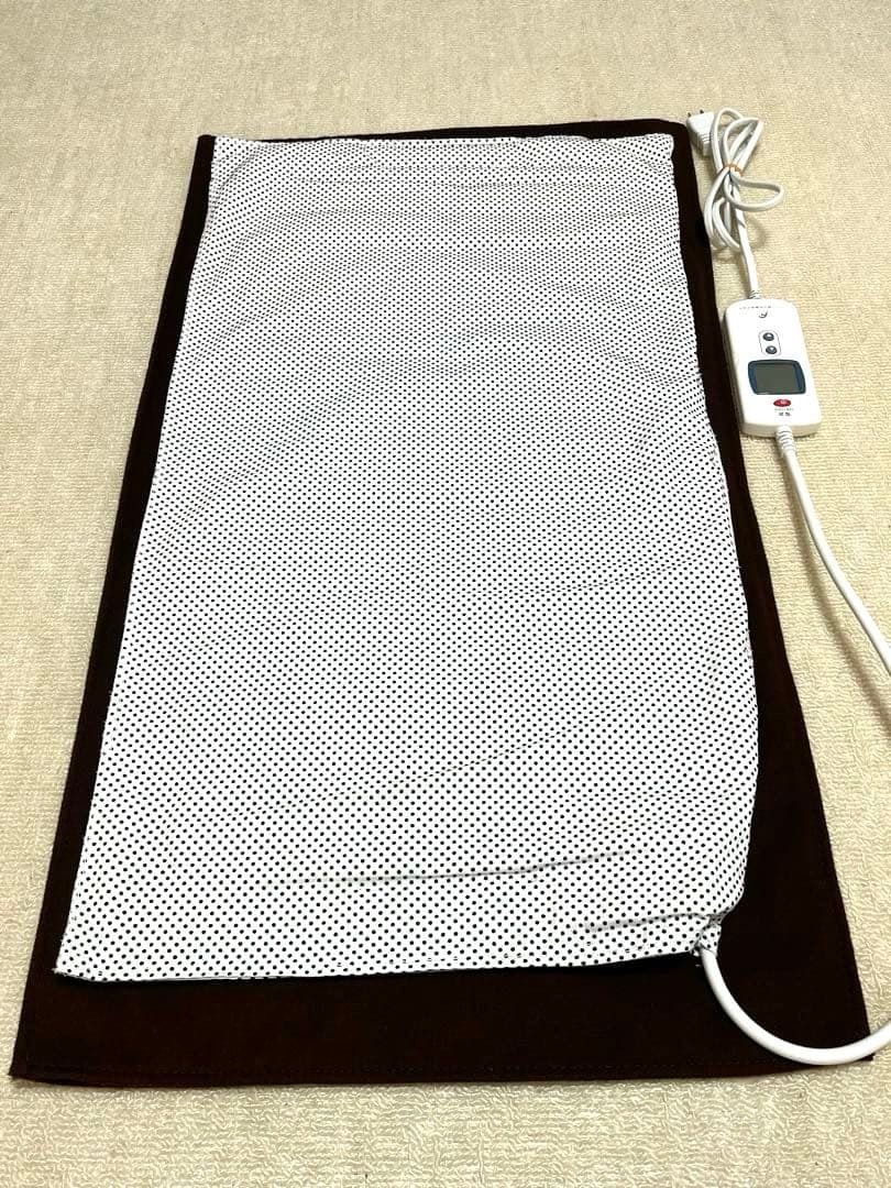 【美品】フランスベッド 温蒸浴うるおいⅢ 動作確認済み