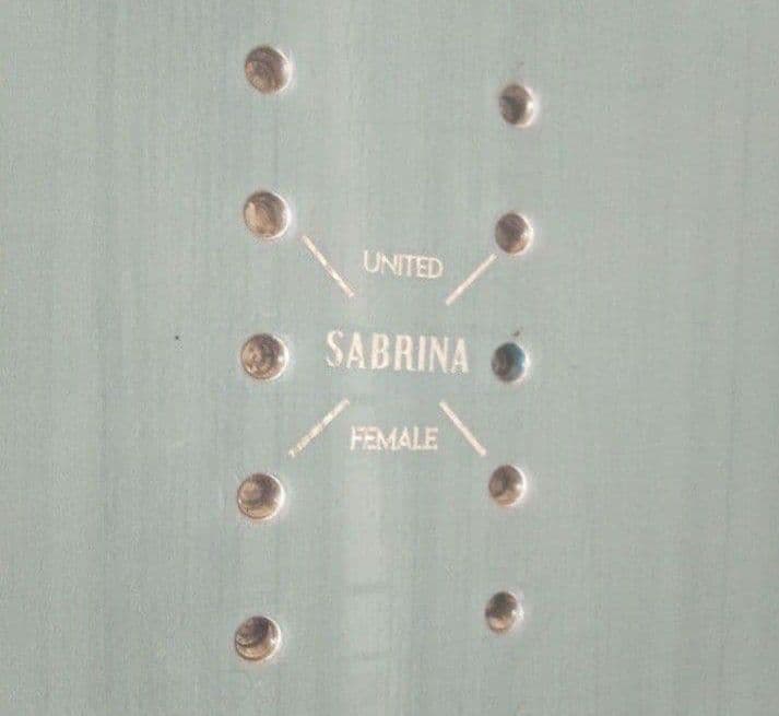 SABRINA サブリナ スノーボード スノボ 板 140