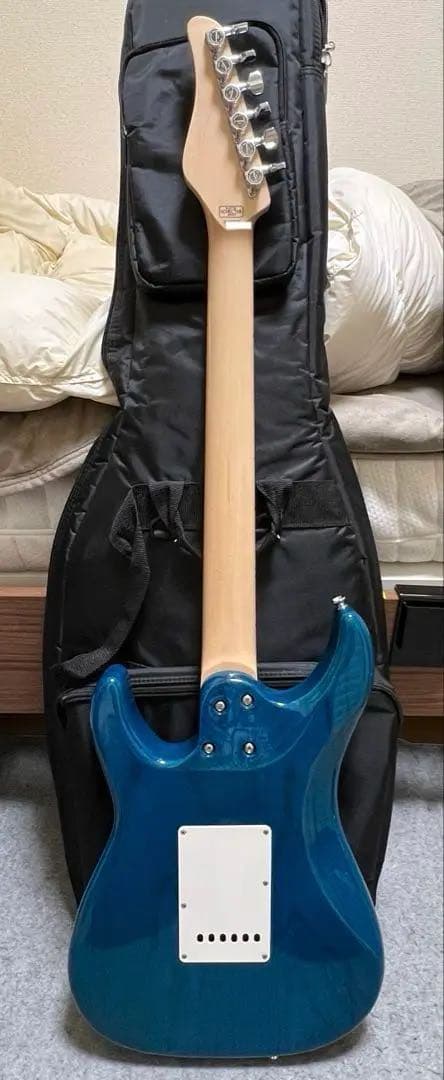 即発送 SCHECTER BH-1-STD 24F TBLU/M 限定20本