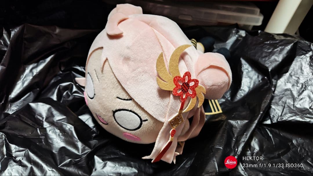 ラブライブ 虹ヶ咲 鐘嵐珠 Mサイズ寝そべりぬいぐるみ Queendom