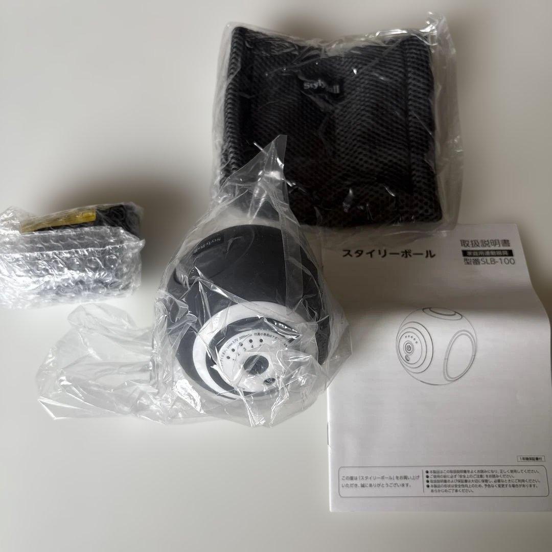 こづち様❣️[新品未使用]スタイリーボール　ブラック　型番SLB-100