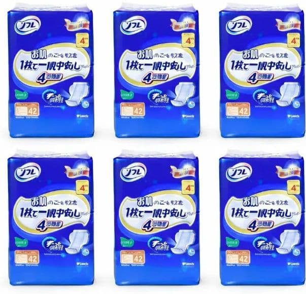 42枚入り×６セットリフレ お肌のことを考えた1枚で一晩中安心パッド 4回吸収