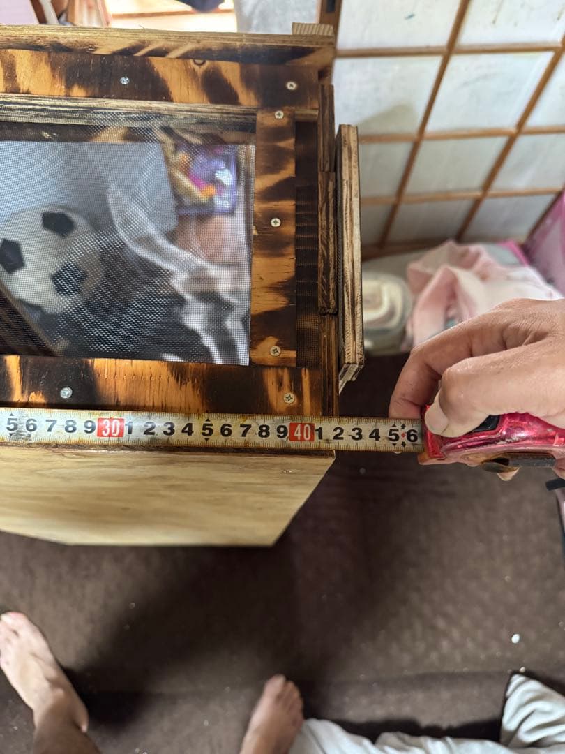 カメレオンケージ