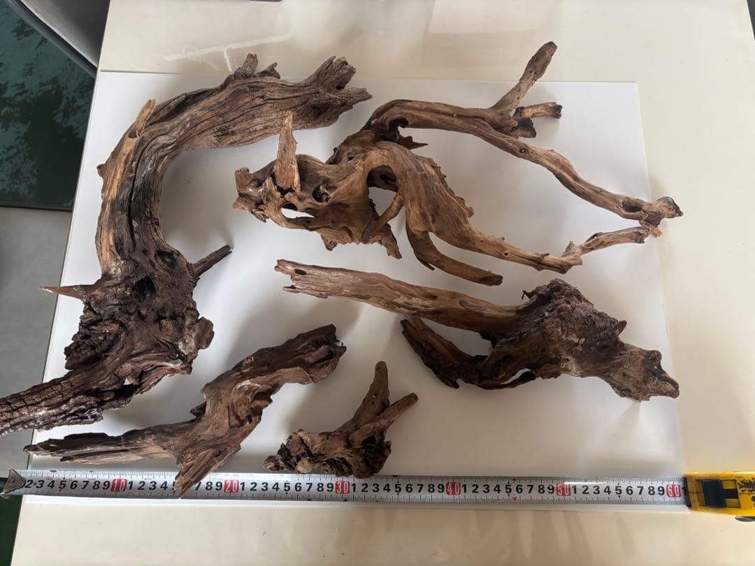 流木　　(60セン水槽レイアウト)