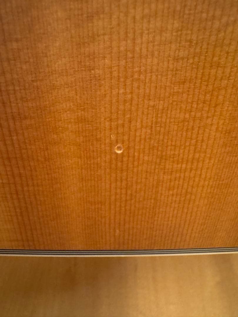 Stafford & Co エレキアコースティックギター