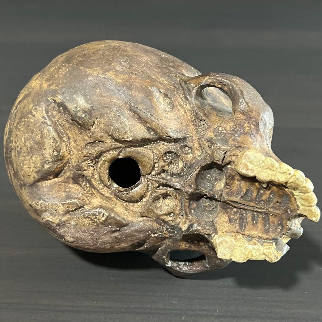 ビンテージ スカル 髑髏 陶磁器 野晒し しゃれこうべ ドクロ 置物 年代物