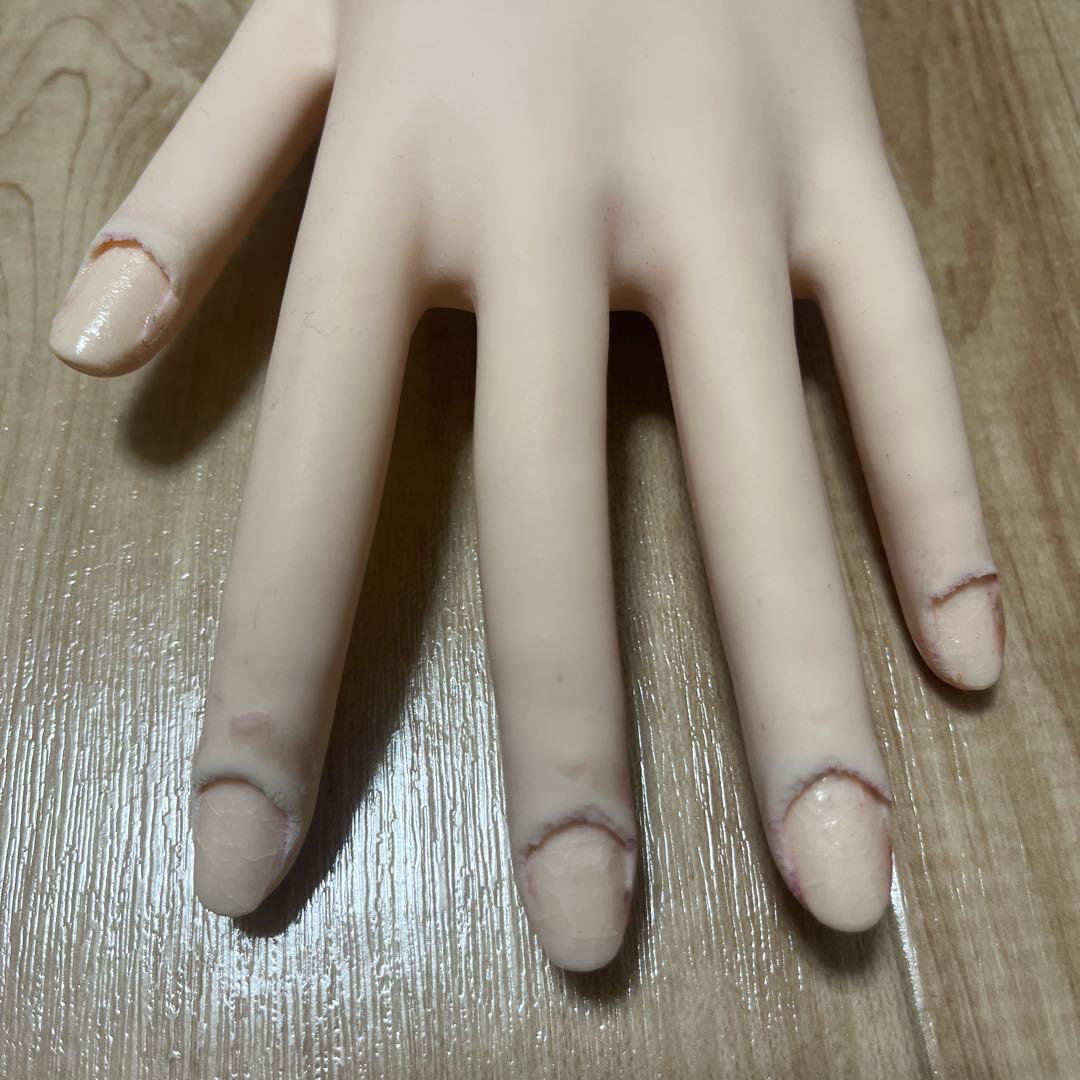 【練習ハンド付き】ネイリスト技能検定試験用JNEC認定モデルハンドセット