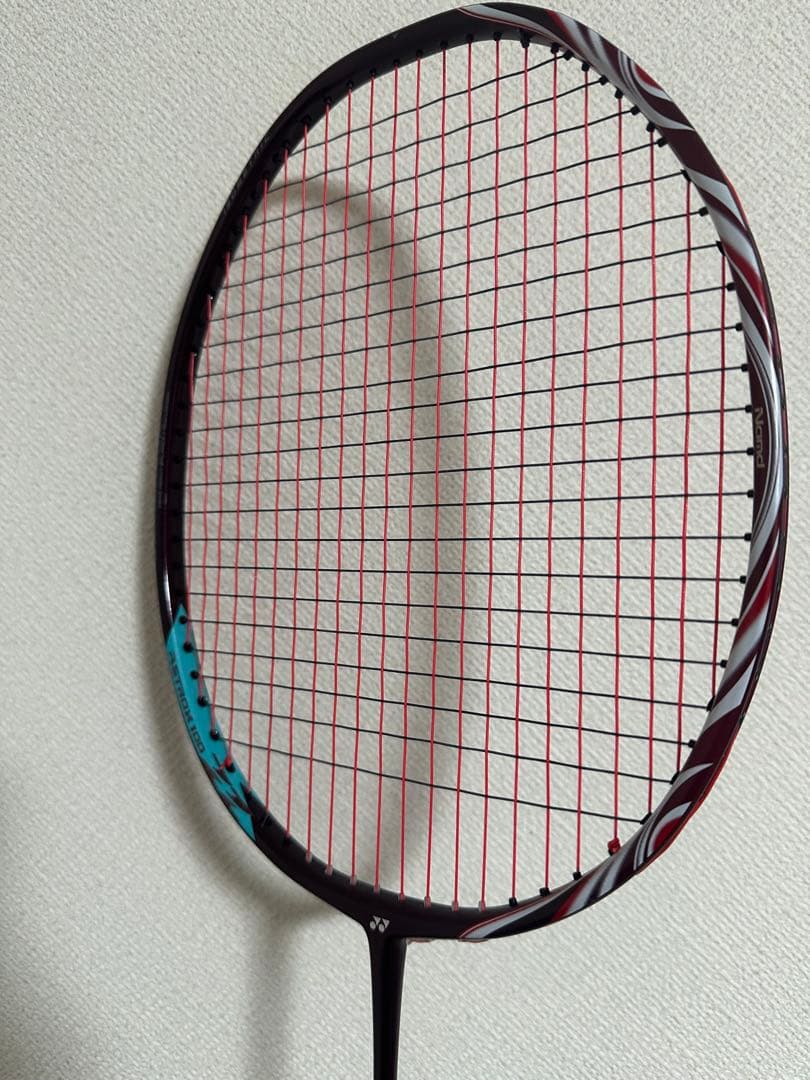 アストロクス100zz 4UG5 元グリなし