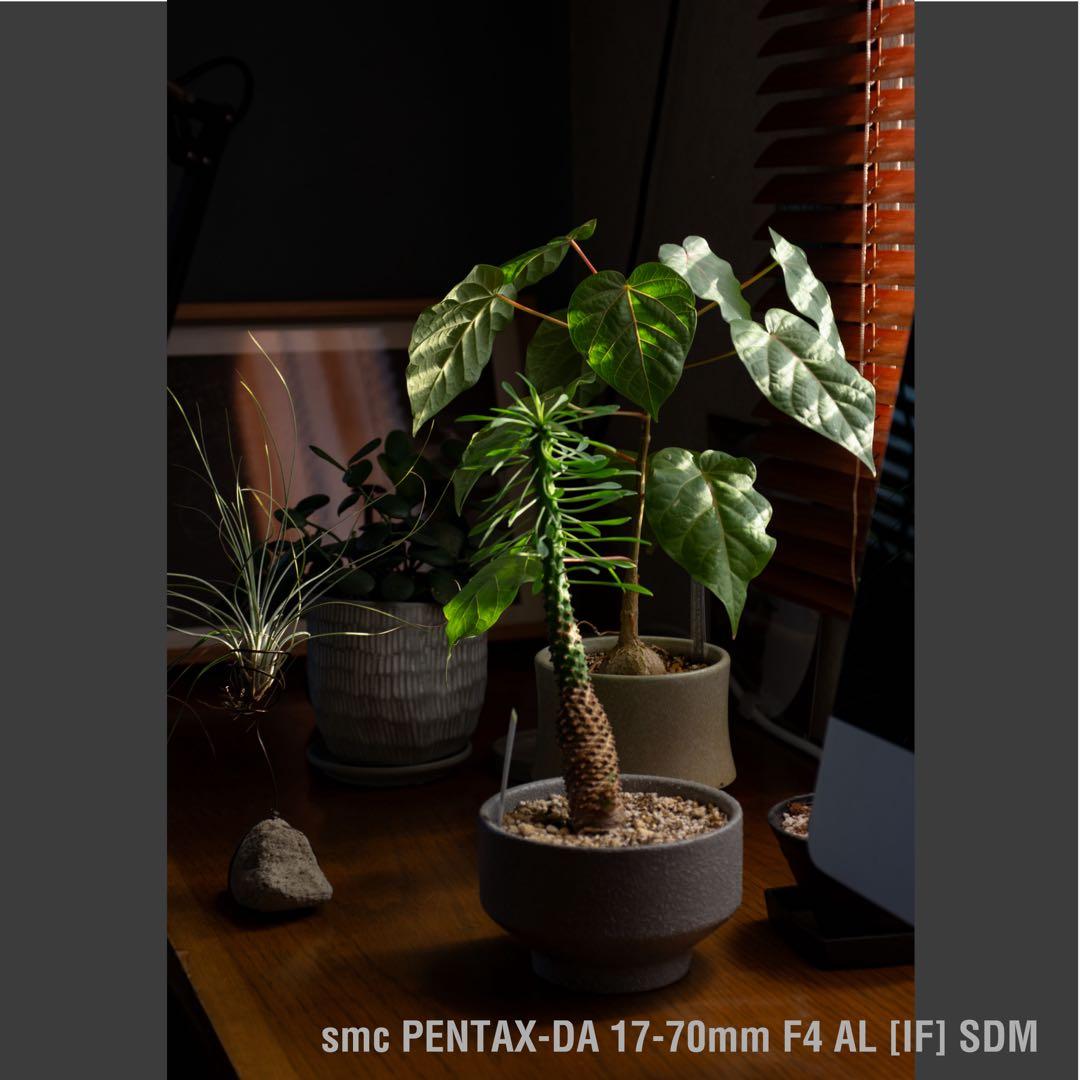 PENTAX K5 and レンズセット