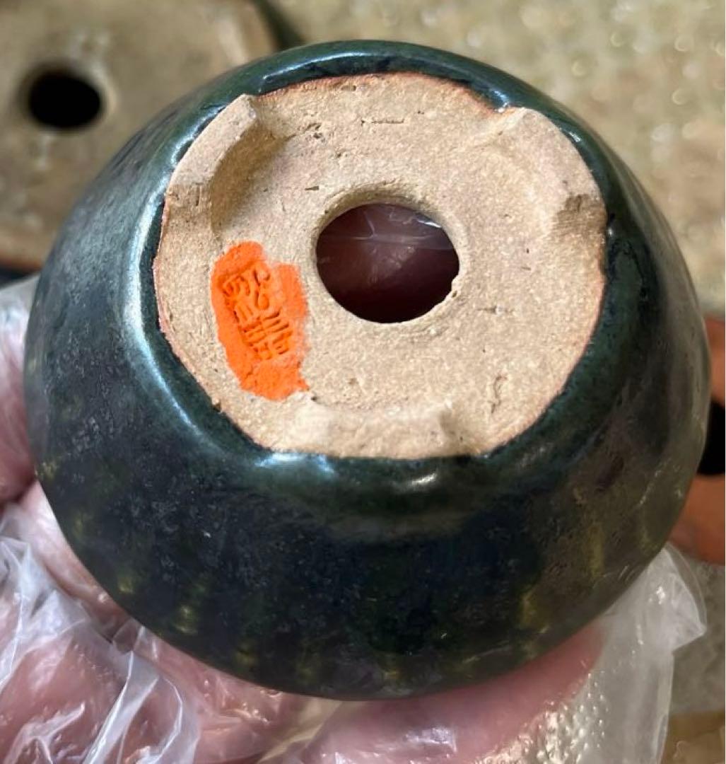 松寿　小品　盆栽鉢　レトロ　5個セット　(A5)