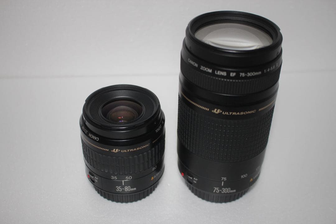 一眼レフカメラ　Canon EOS 90D標準&望遠ダブルレンズセット