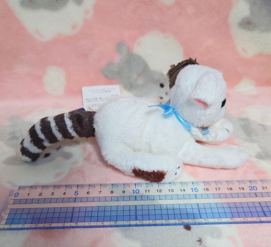 cat's issue 猫　ぬいぐるみ　AfternoonTea