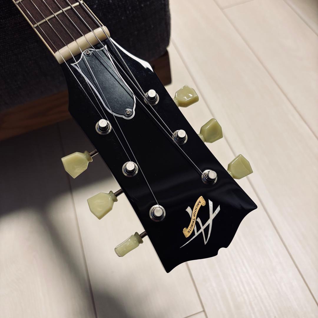 ギター Archtop Tribute AT135STP