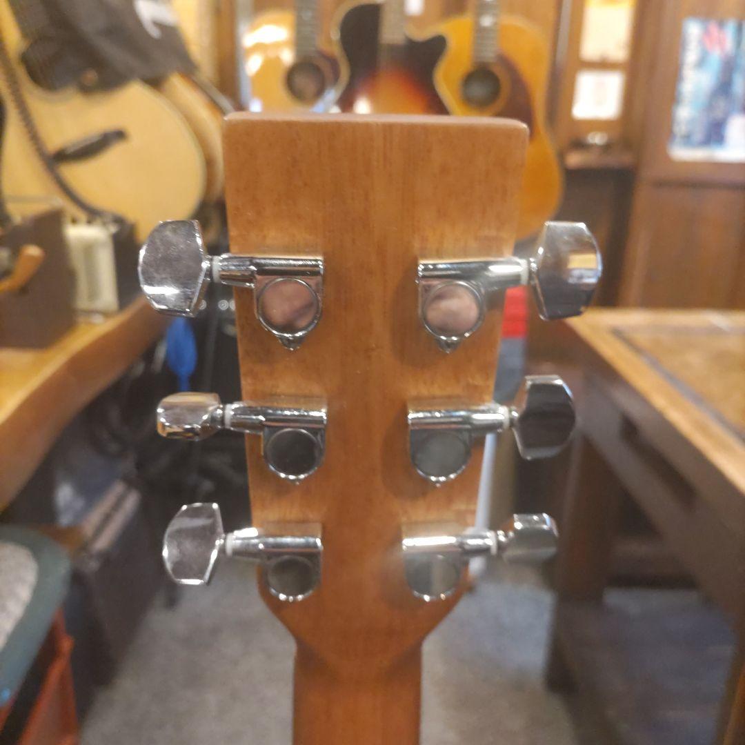 stafford SF-500C-MAHOGANY エレアコ (管理サイサ)