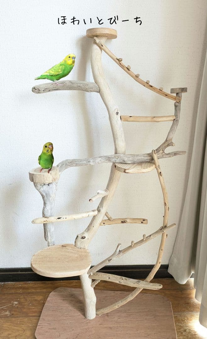 流木止まり木・バードタワー『癒しの森』高さ98cm