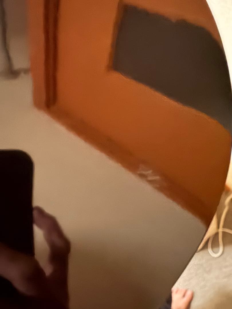 Les Paul studio plus /ベアナックル/ミュール