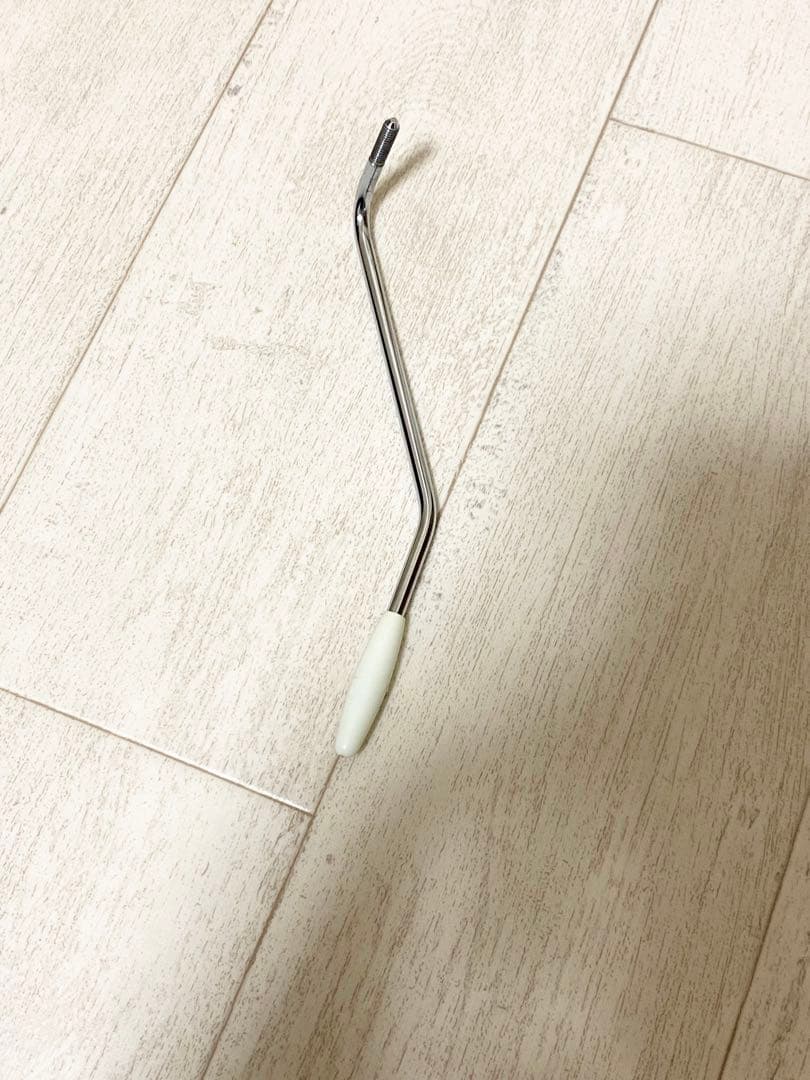 VanZandt STV-R2 3TS ストラトキャスター ソフトケース付き