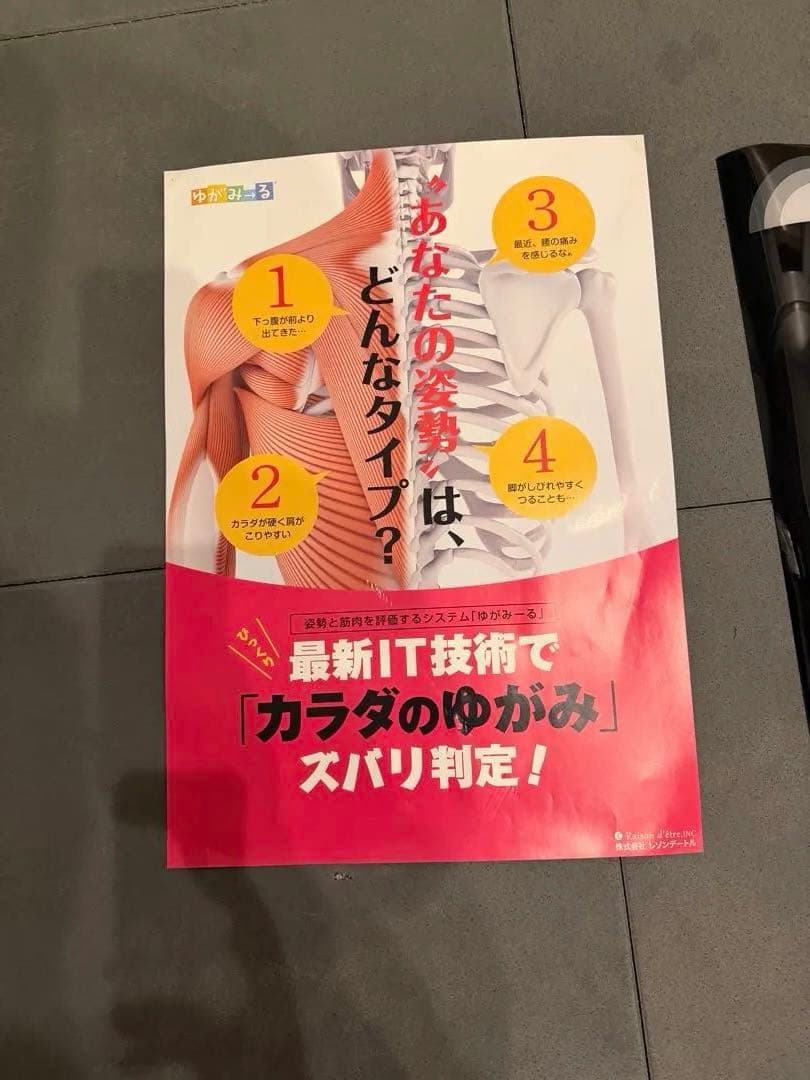 ゆがみーるlite 姿勢解析