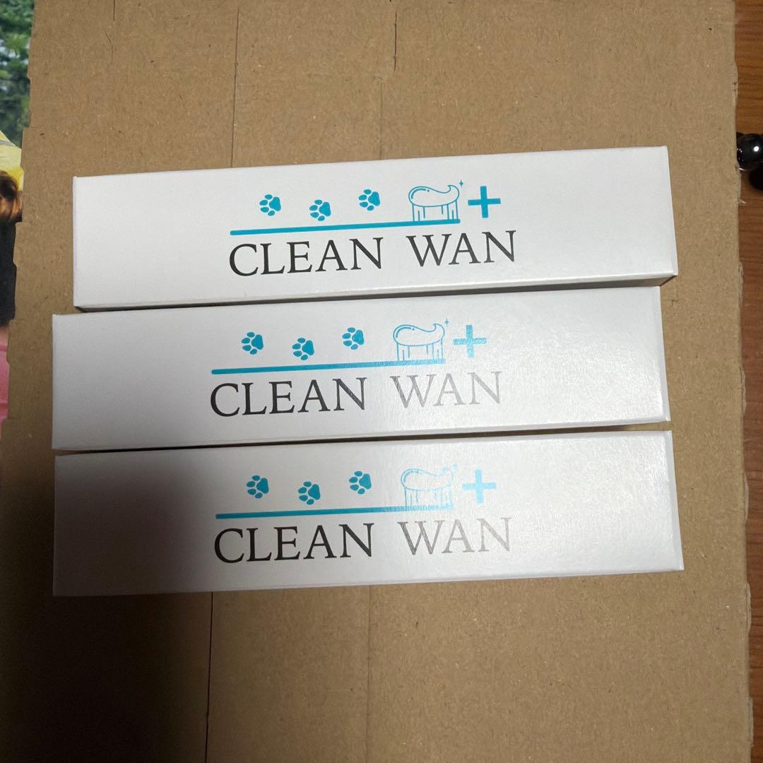 CLEAN WAN 3本　歯ブラシ1本